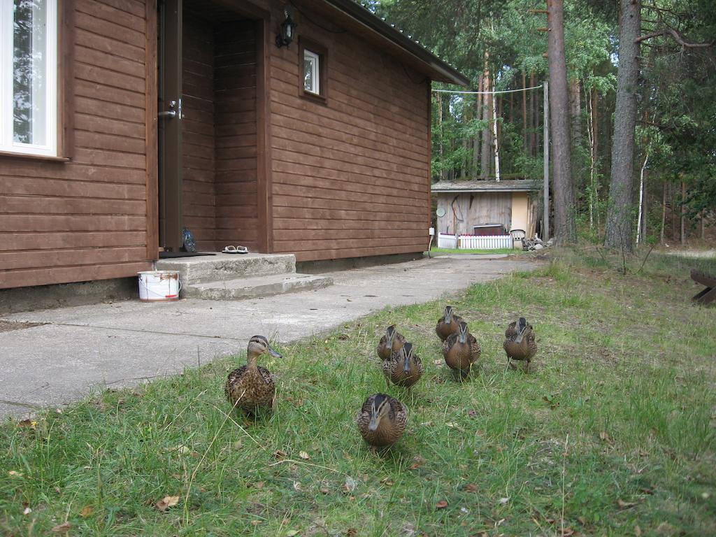 Lomasaaret Cottages Villala Chambre photo